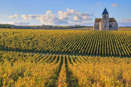 Visit of the Domaine Clotilde Davenne and Chablis wine tasting session