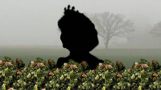City rally in Oldenburg The disappeared kale queen