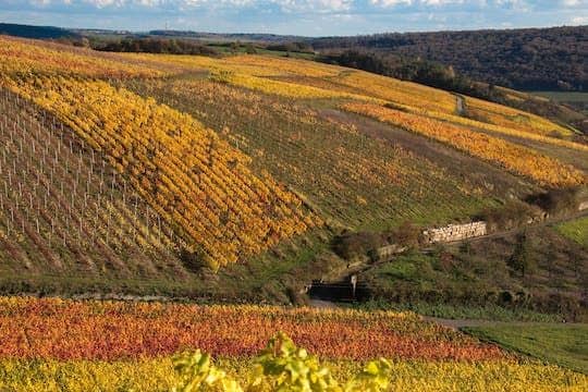 Hiking tour along the Romantic Road in Röttingen and Weikersheim