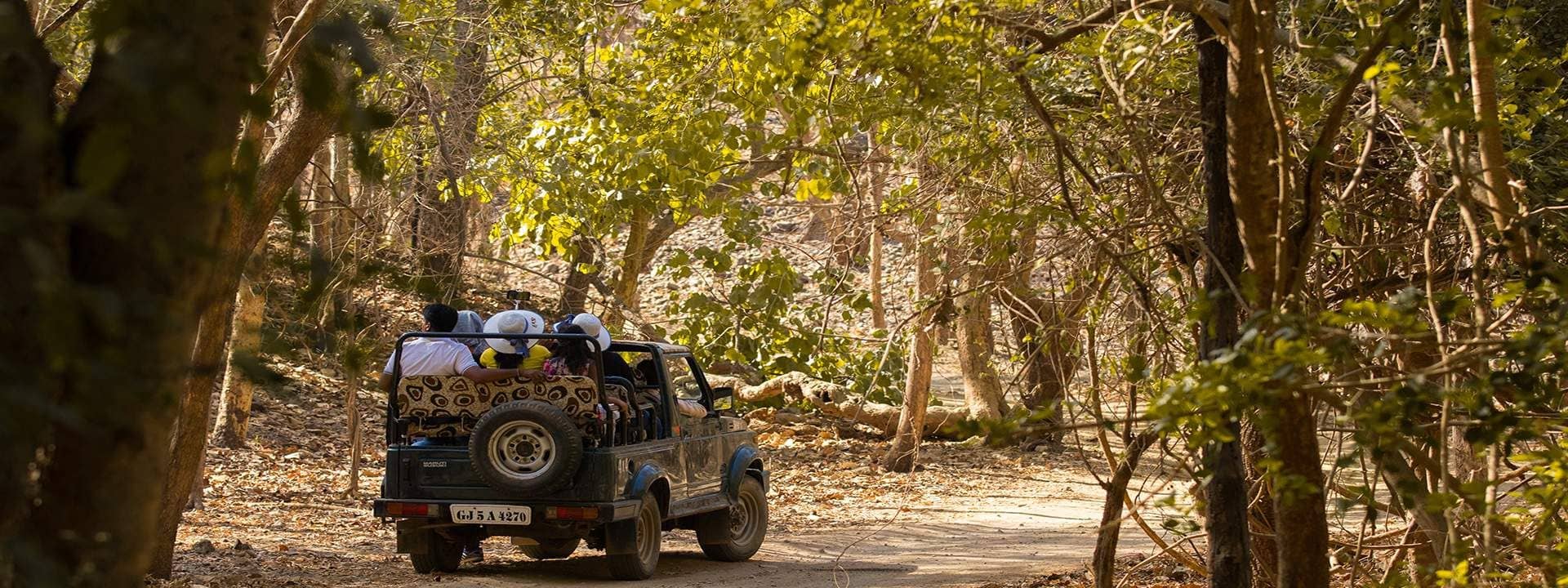 2D1N Gir National Park Tour from Ahmedabad