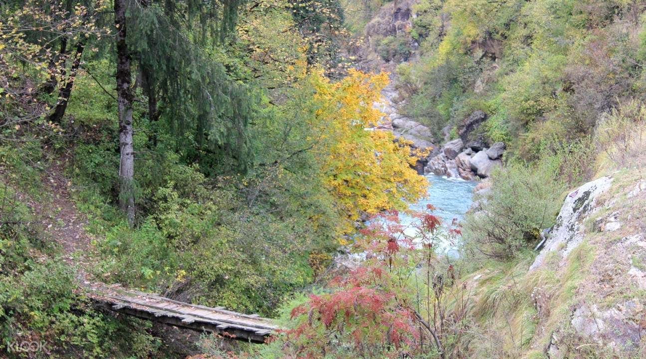2D1N Kheerganga Trek & Camping from Kasol2