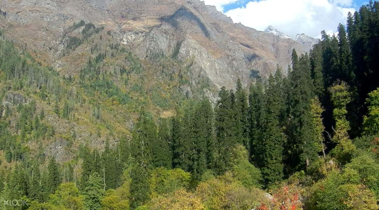 2D1N Kheerganga Trek & Camping from Kasol1
