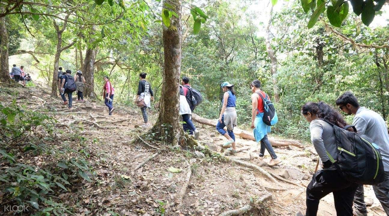 2D1N Kumara Parvatha Trek from Bangalore1
