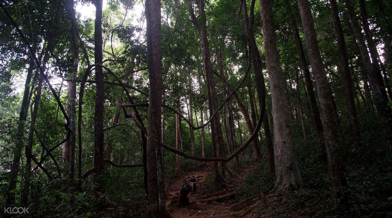 2D1N Kumara Parvatha Trek from Bangalore2