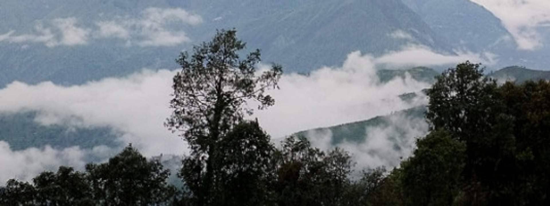 2D1N Nag Tibba Trek from Dehradun