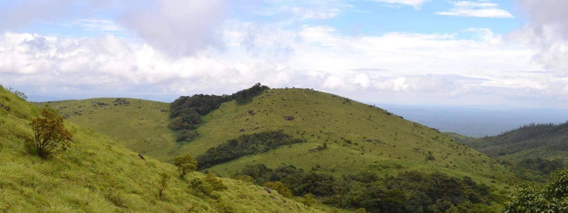 2D1N Tadiandamol Trek from Bangalore