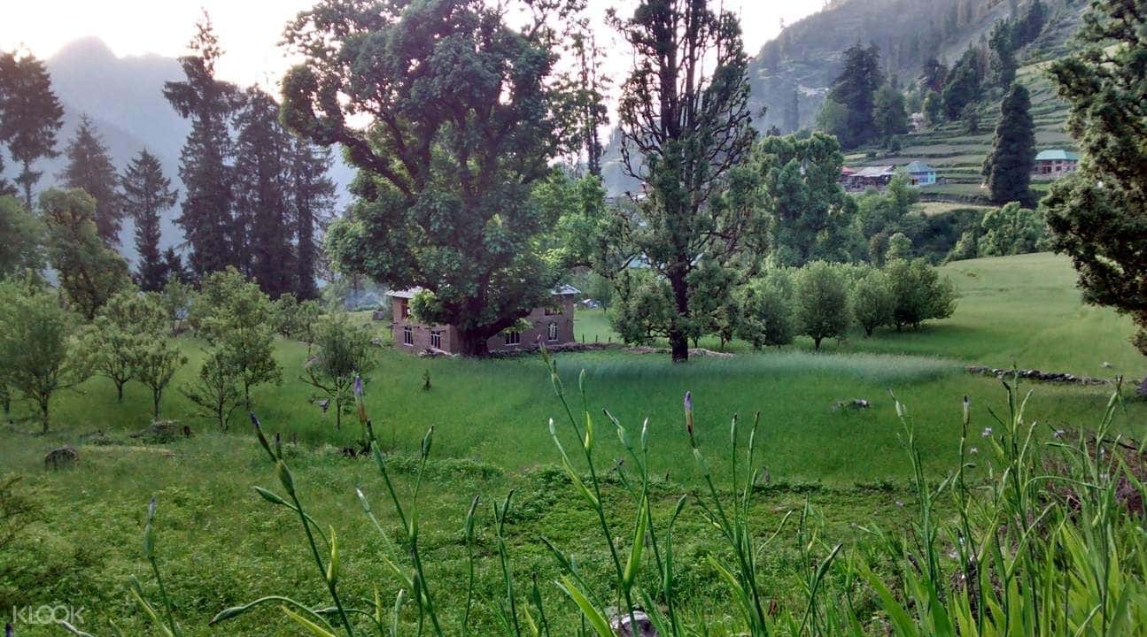 2D1N Trek To Grahan Village From Kasol1