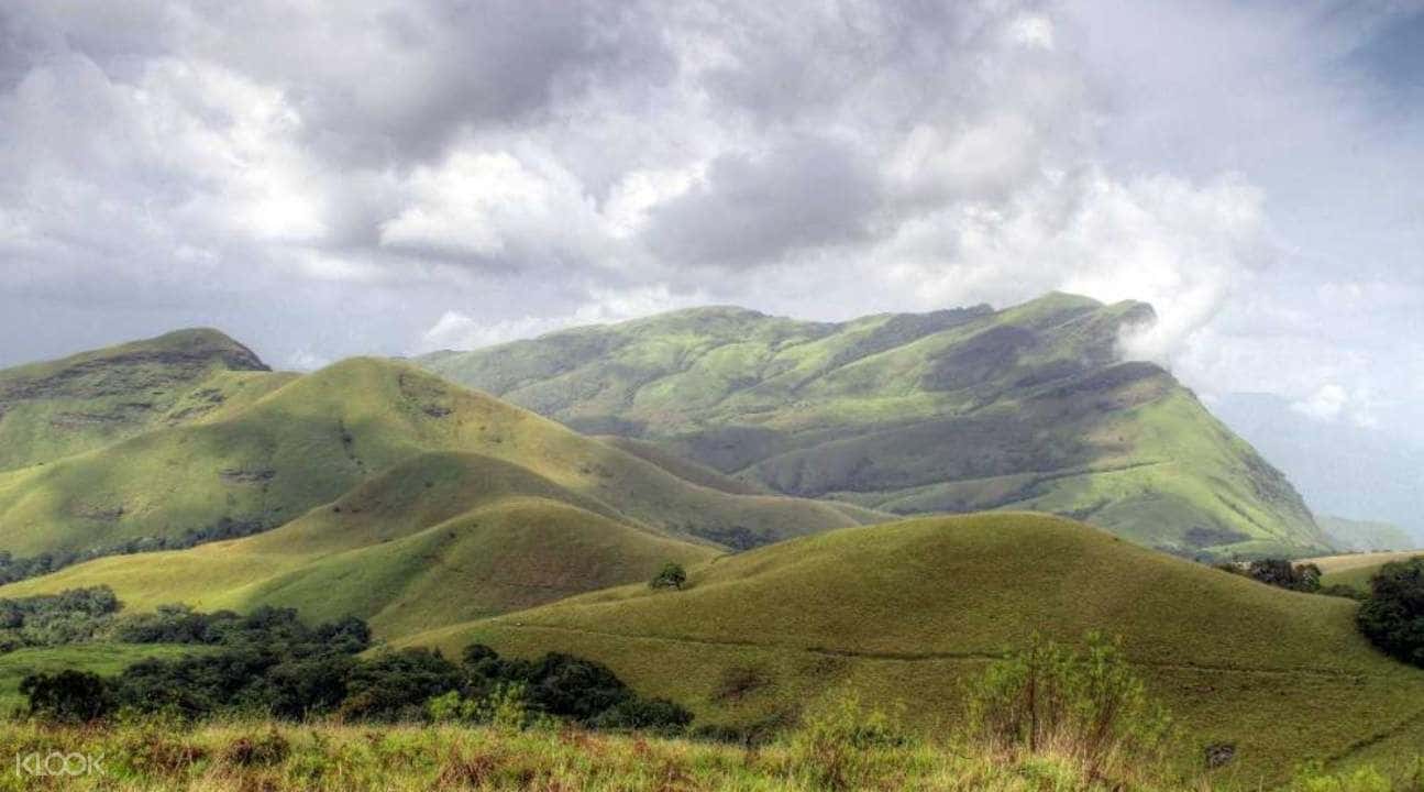 3D2N Kyatanmakki Hills and Kurinjal Peak Hiking Experience from Bangalore1