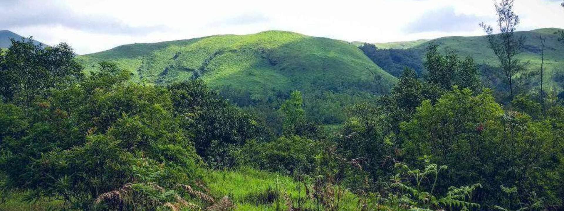 3D2N Kyatanmakki Hills and Kurinjal Peak Hiking Experience from Bangalore