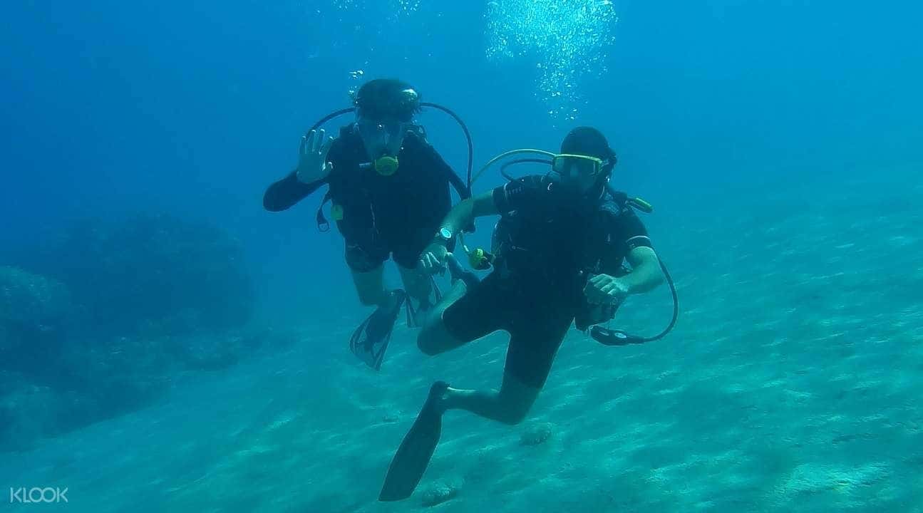 4D3N Andaman Islands Sightseeing Tour1