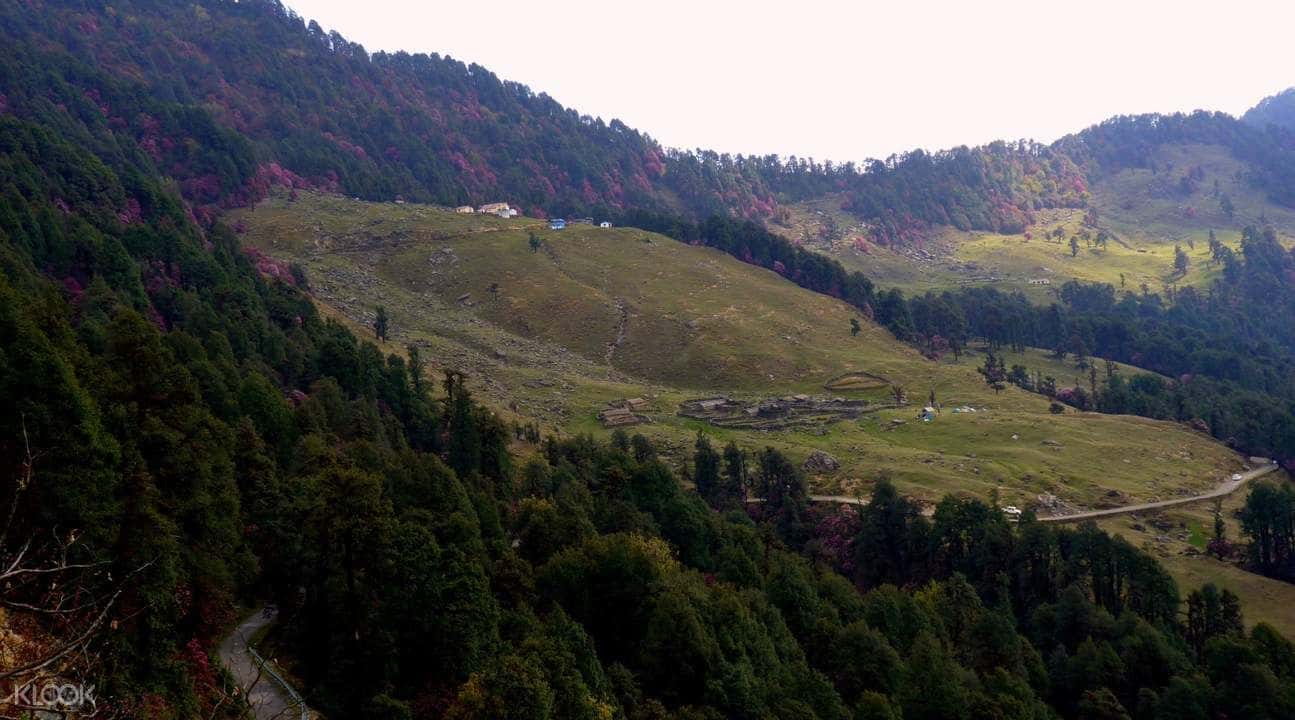 4D3N Deoria Tal, Chopta, Tungnath, and Chandrashila Hiking Experience from Rishikesh4