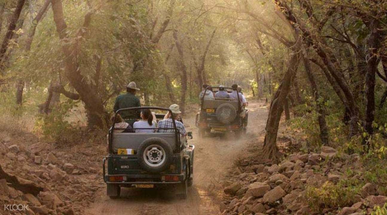 4D3N Jim Corbett And Nainital Tour From Delhi4