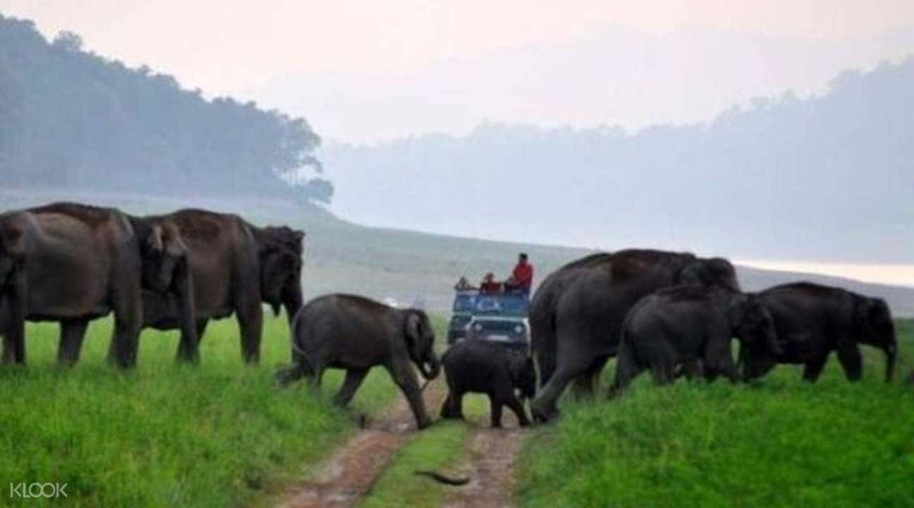 4D3N Jim Corbett And Nainital Tour From Delhi1