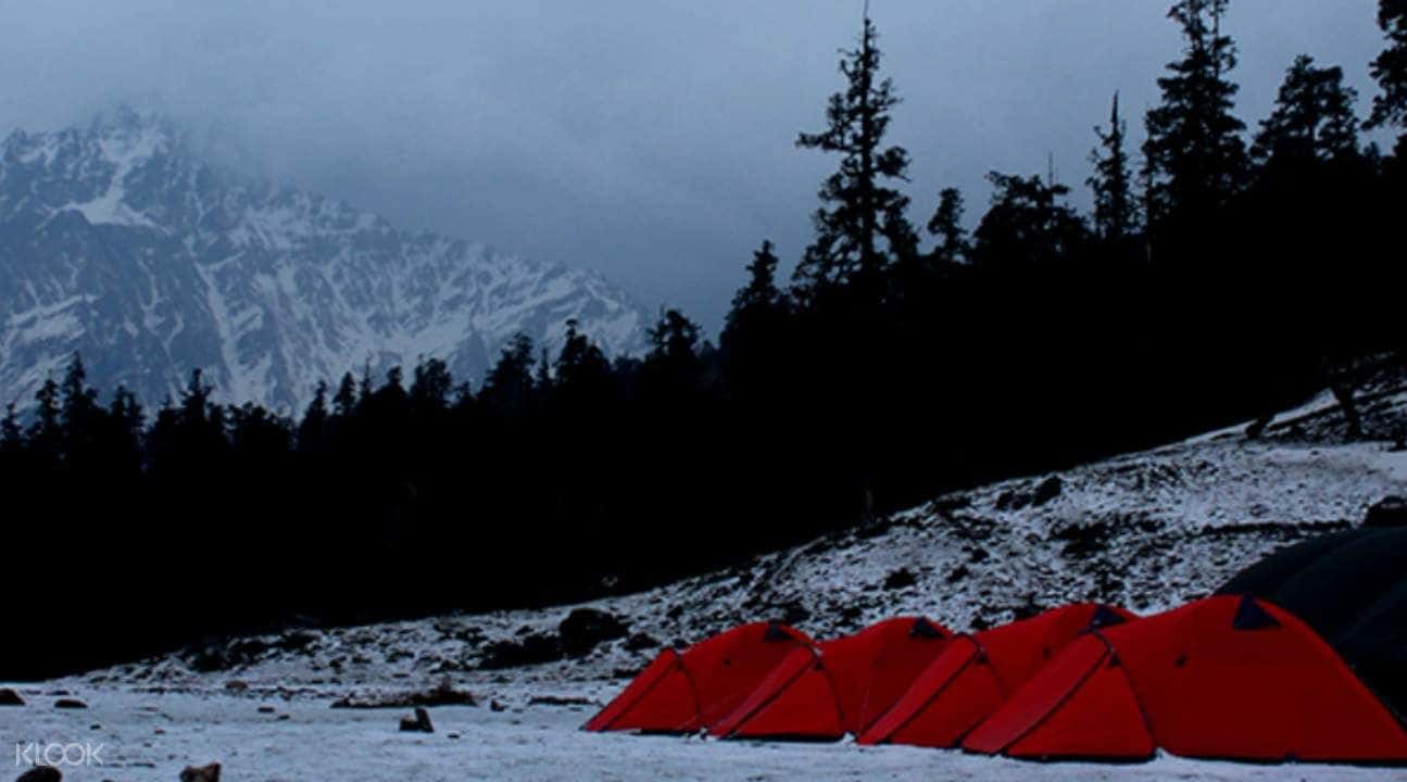 5D4N Kuari Pass Trek from Haridwar1