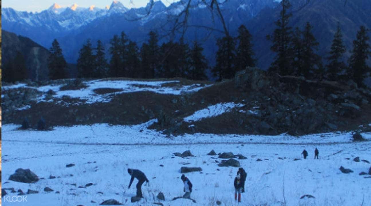 5D4N Kuari Pass Trek from Haridwar3