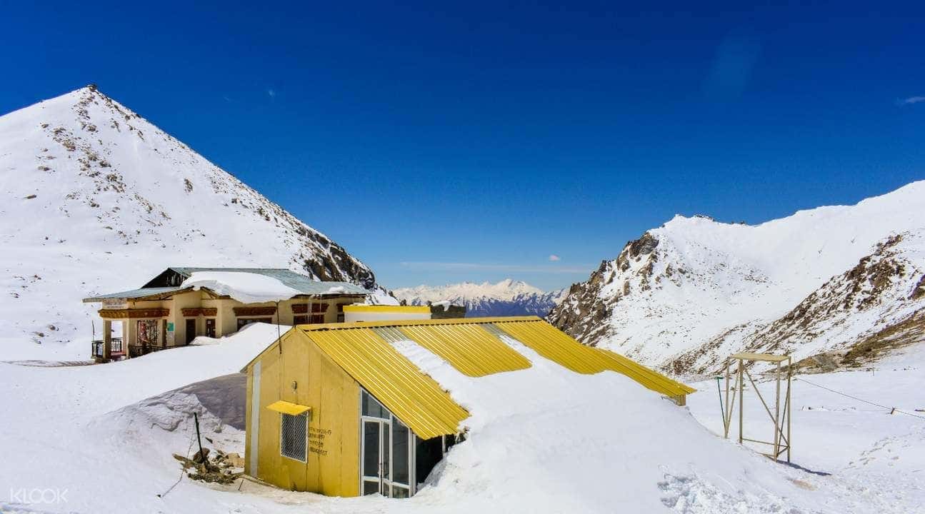 5D4N Leh Tour by Tripver2