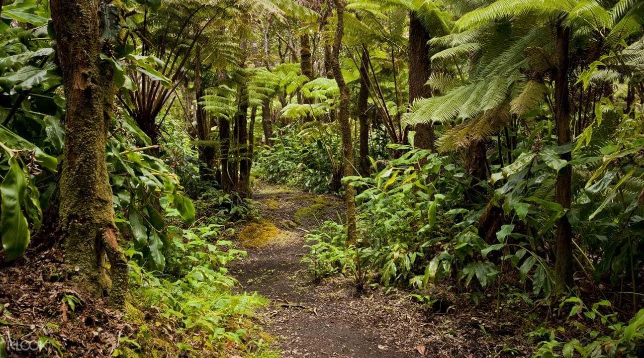 7-in-1 Adventure Package in Coorg4