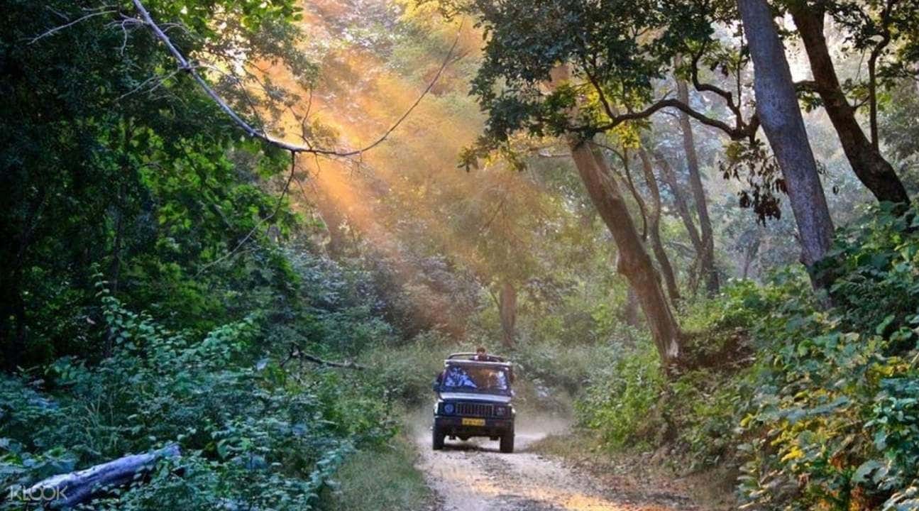 7D6N Gujarat Sightseeing Trip from Ahmedabad1