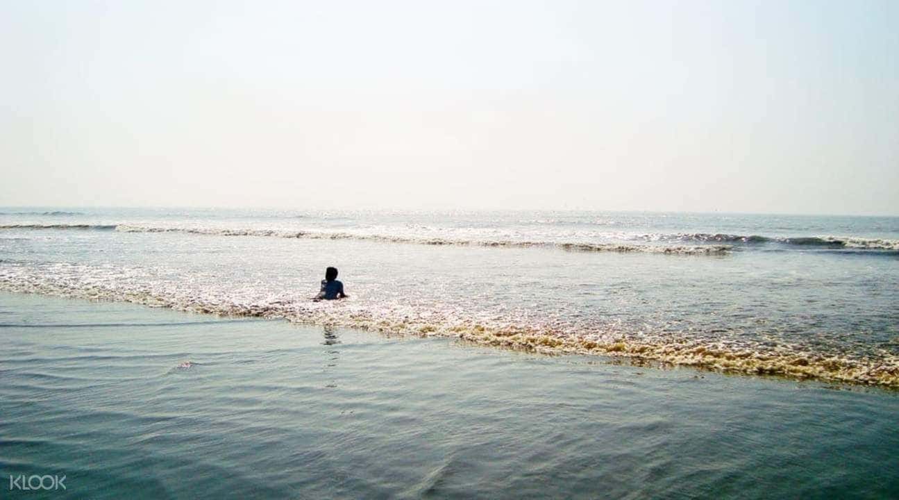 Alibaug Beach Camping and Movie Under The Sky in Mumbai4