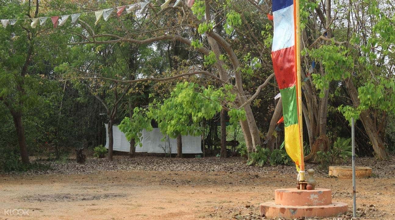 Auroville Walking Tour2