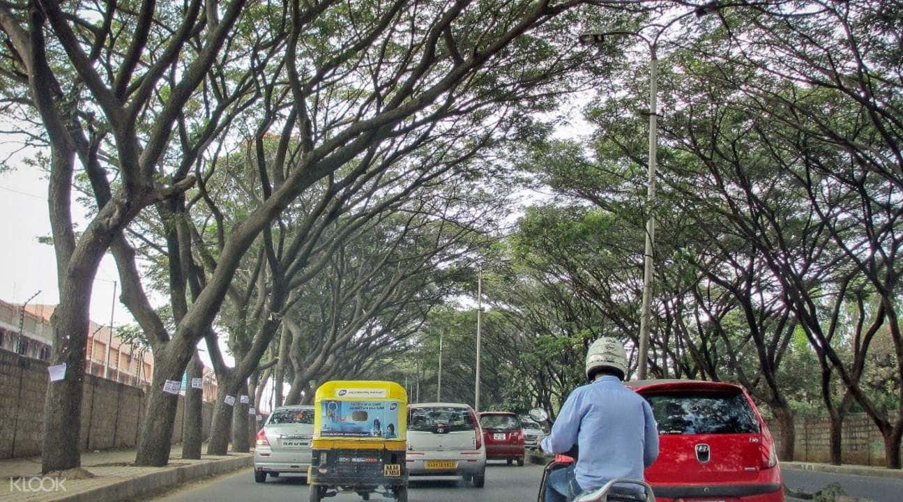 Bangalore Cultural Walking Tour1