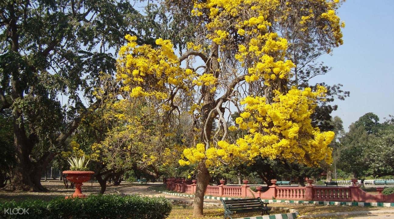 Bangalore Historic Walking Tour1