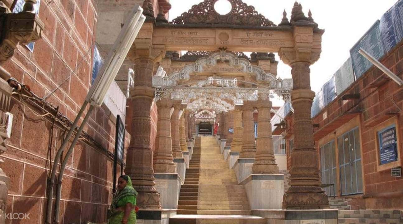 Camel Safari Experience In Jodhpur2