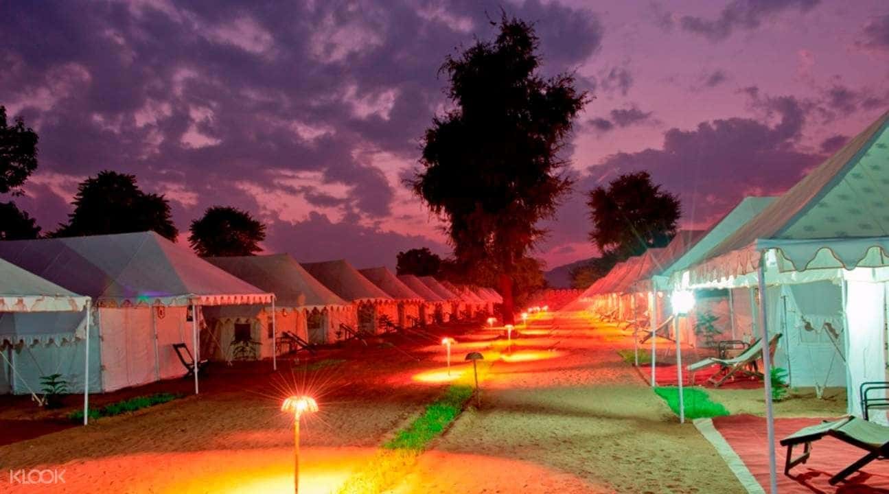 Camel Safari Overnight Camping In Pushkar3