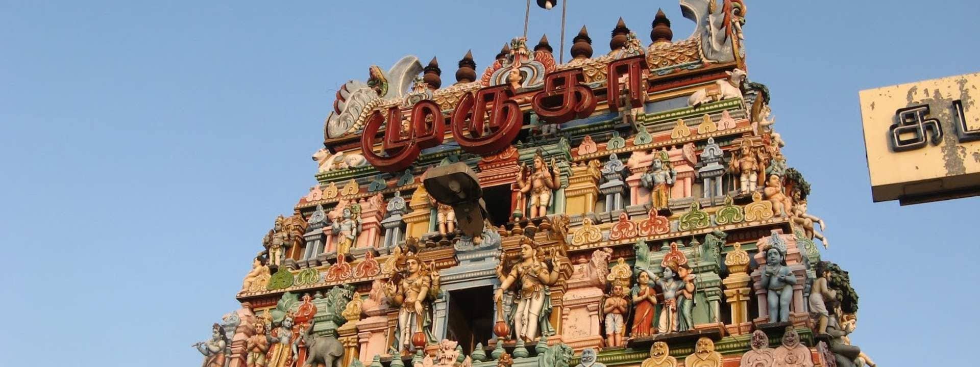 Chennai Private Cultural Experience Half Day Tour