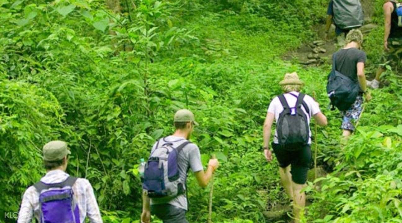 Chidyatapu Trekking Experience1