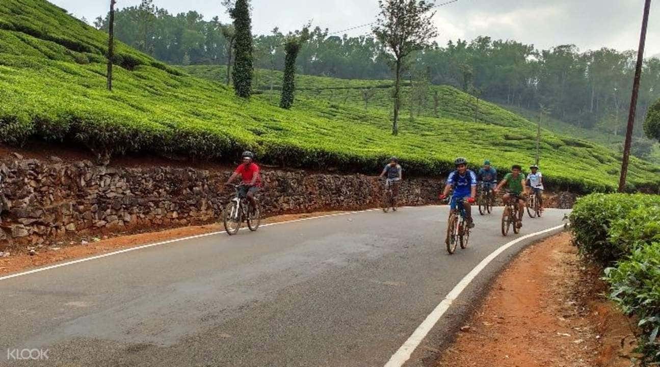 Cycling Tour To Iruppu Waterfalls And Tea Estates Of Coorg2