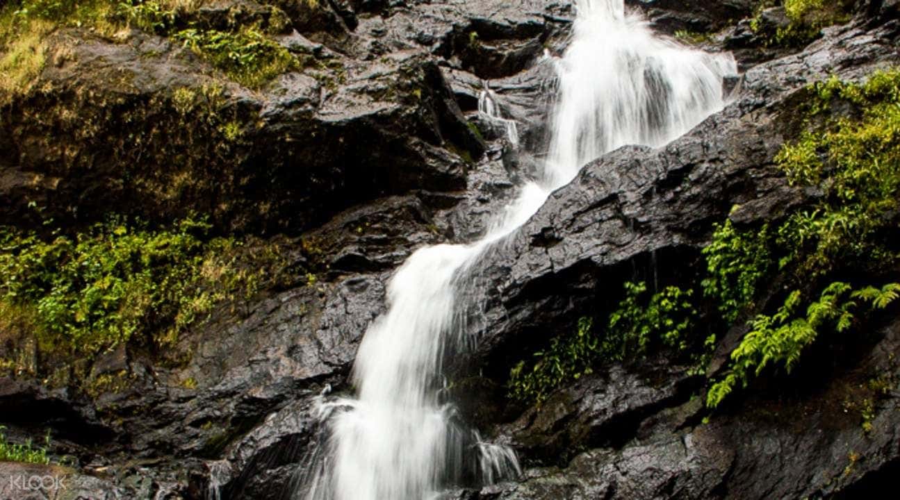 Cycling Tour To Iruppu Waterfalls And Tea Estates Of Coorg4