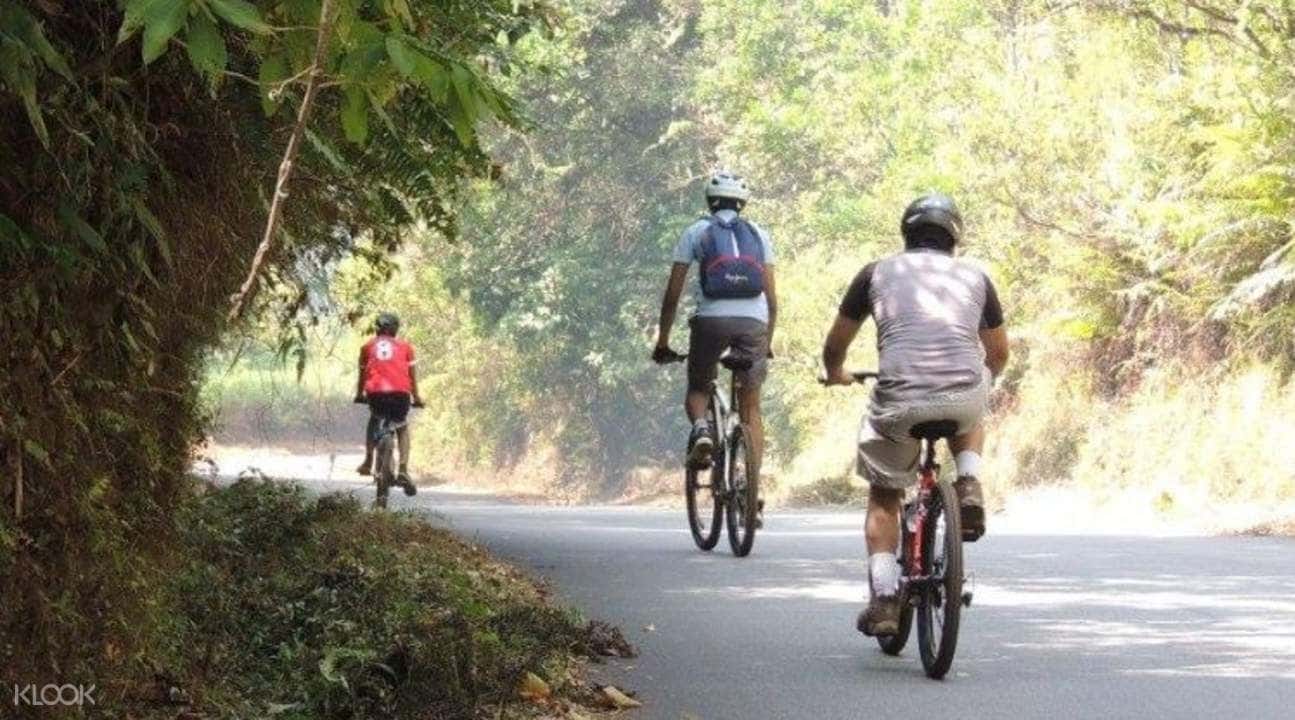 Cycling Tour To Iruppu Waterfalls And Tea Estates Of Coorg3