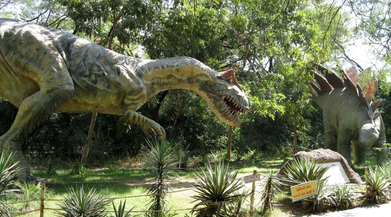 Dinosaur and Fossil Park Tour in Ahmedabad2