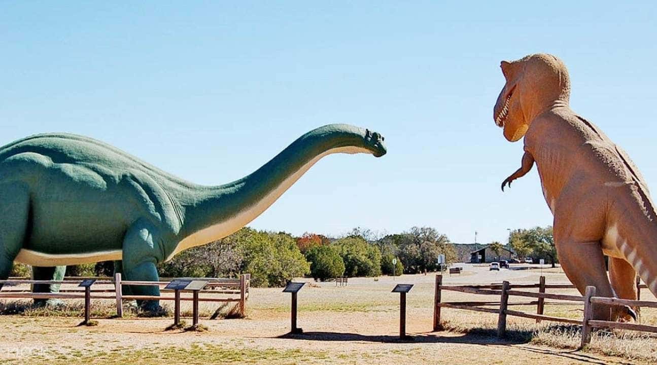 Dinosaur and Fossil Park Tour in Ahmedabad1