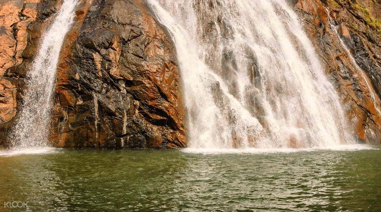 Dudhsagar Waterfall Day Tour from Goa4
