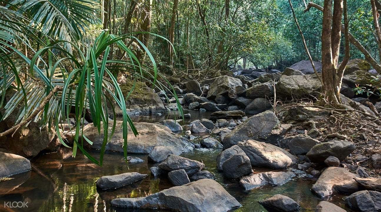 Dudhsagar Waterfall Day Tour from Goa3