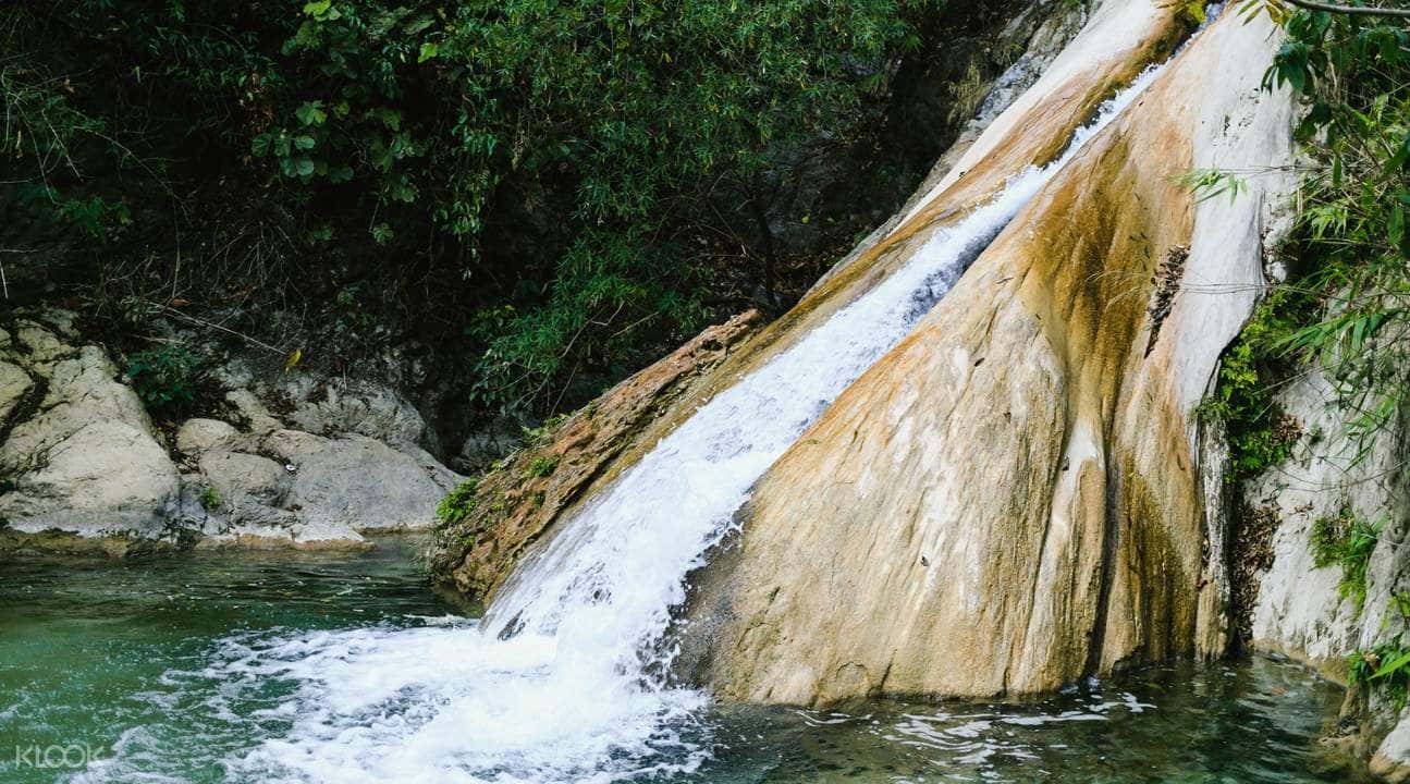 Full Day Sightseeing Tour Of Rishikesh3