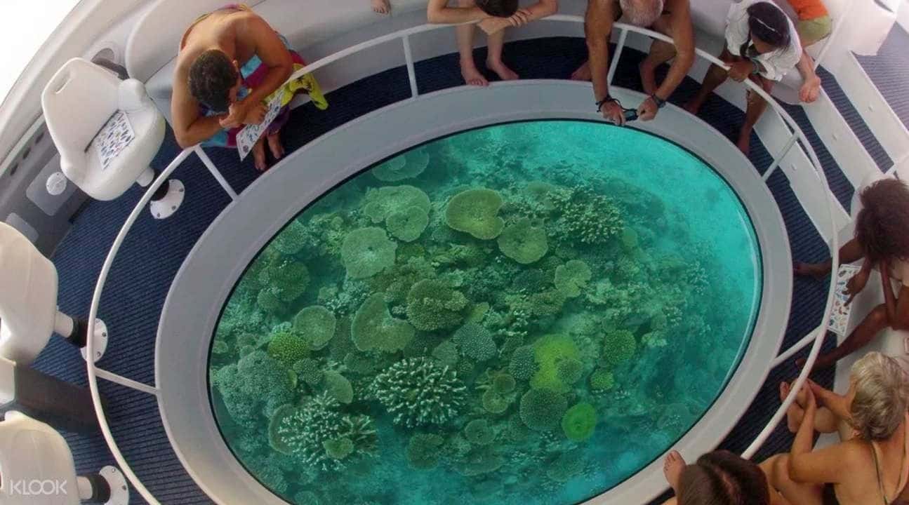 Glass Boat Ride and Dolphin Watching Experience in Andaman2
