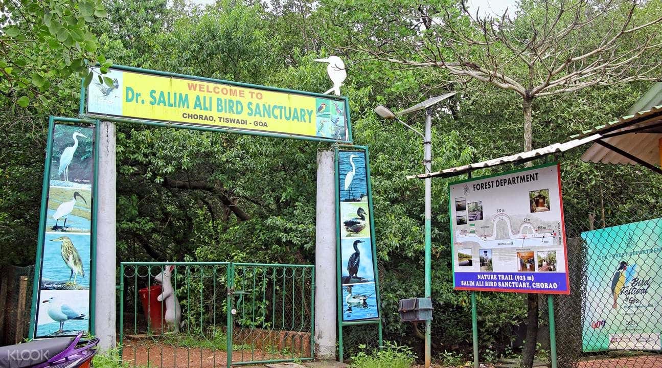 Goa Divar and Chorao Islands Cycling Tour3