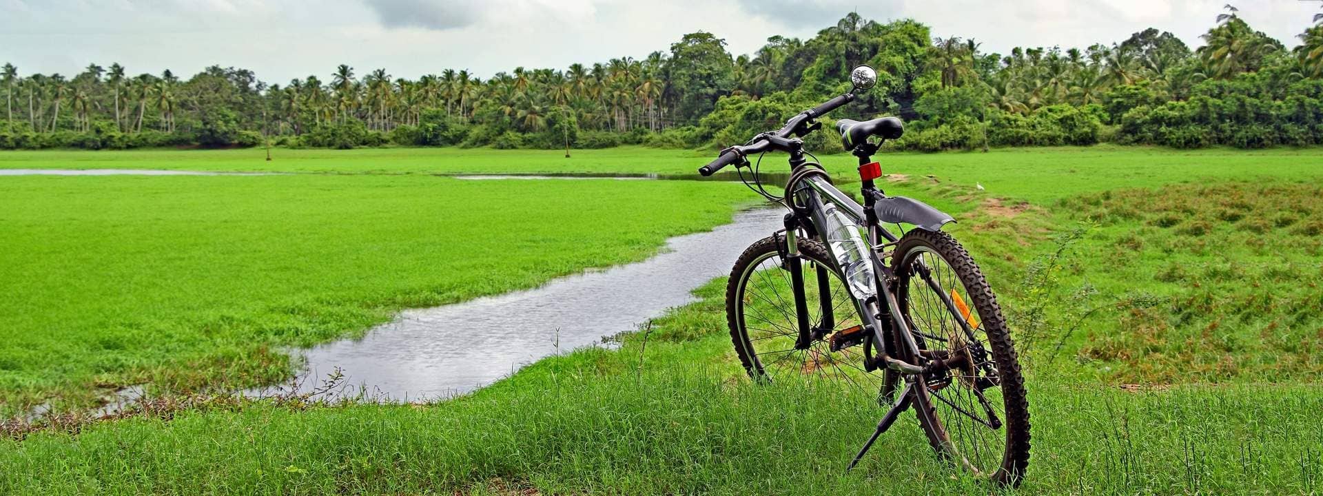 Goa Divar and Chorao Islands Cycling Tour