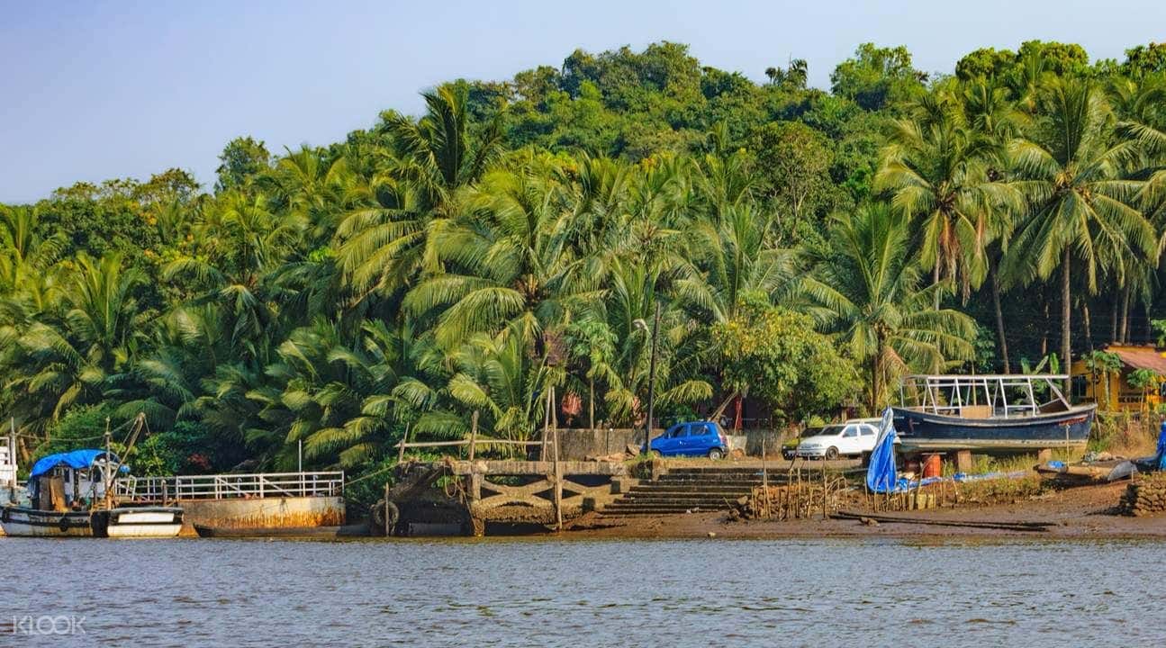 Goa Divar and Chorao Islands Cycling Tour4