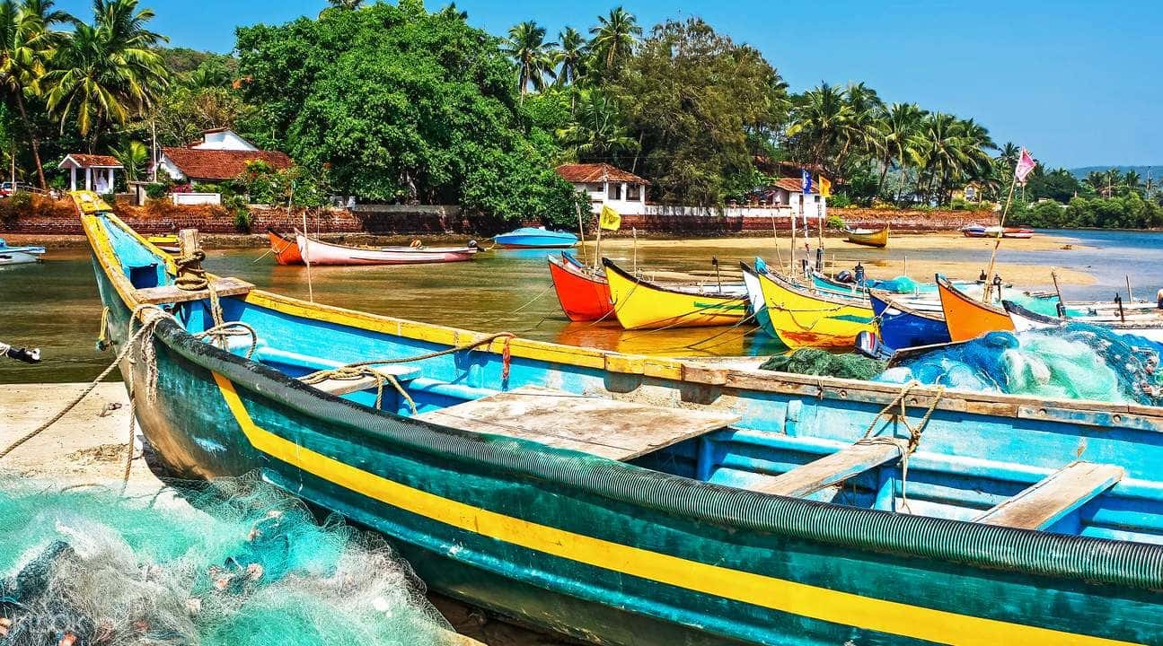 Grande Island Day Trip From North Goa1