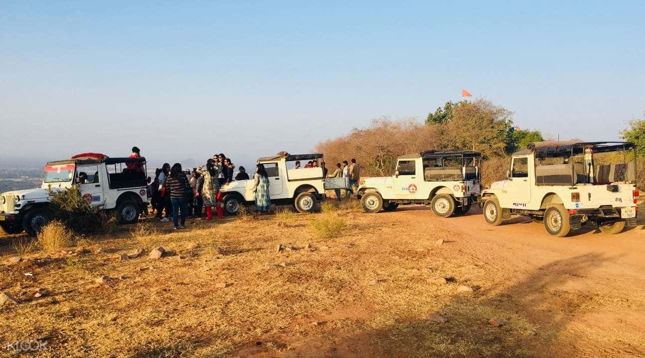 Gyptain Safari in Jaipur2