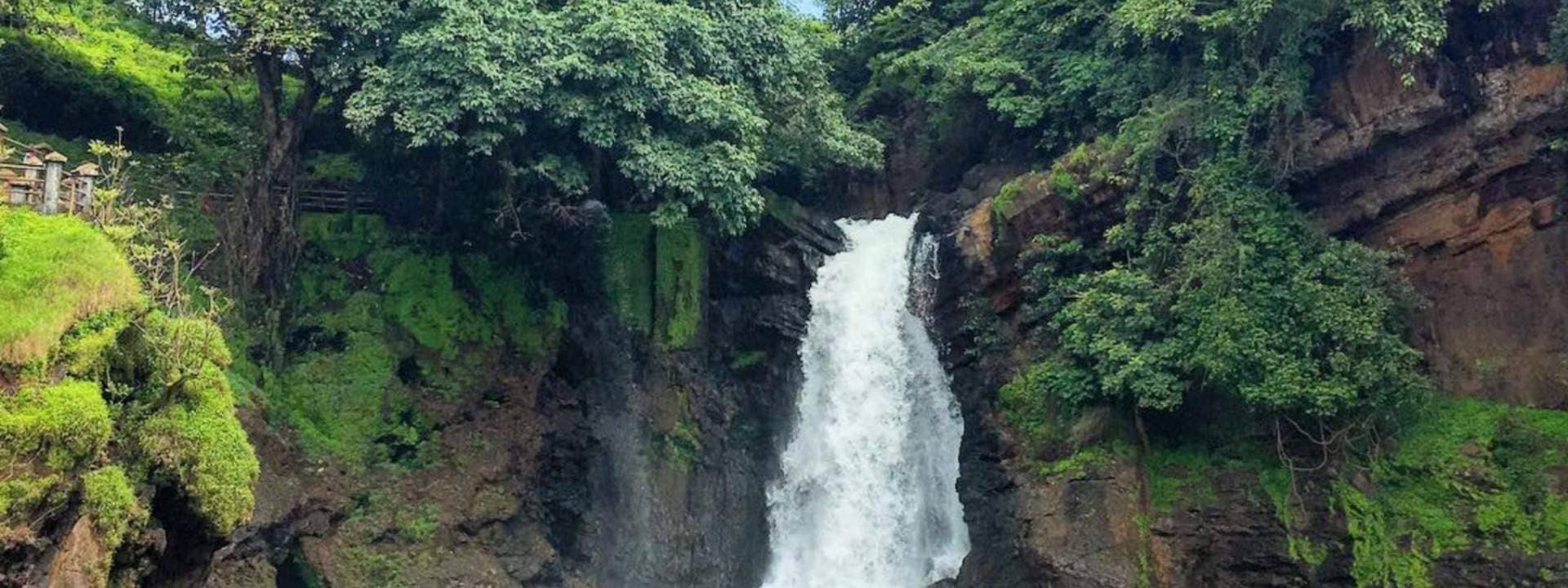 Harvaleem Waterfall Tour in Goa