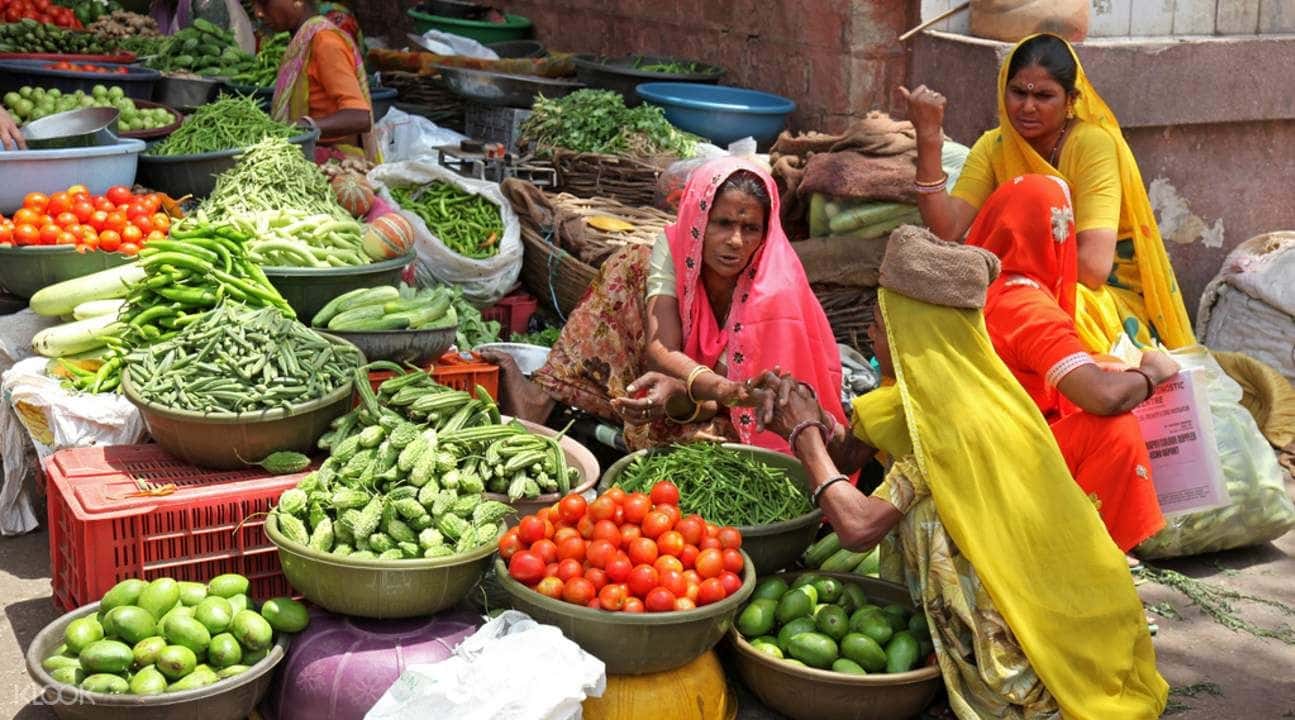 Jaipur Walking Tour1