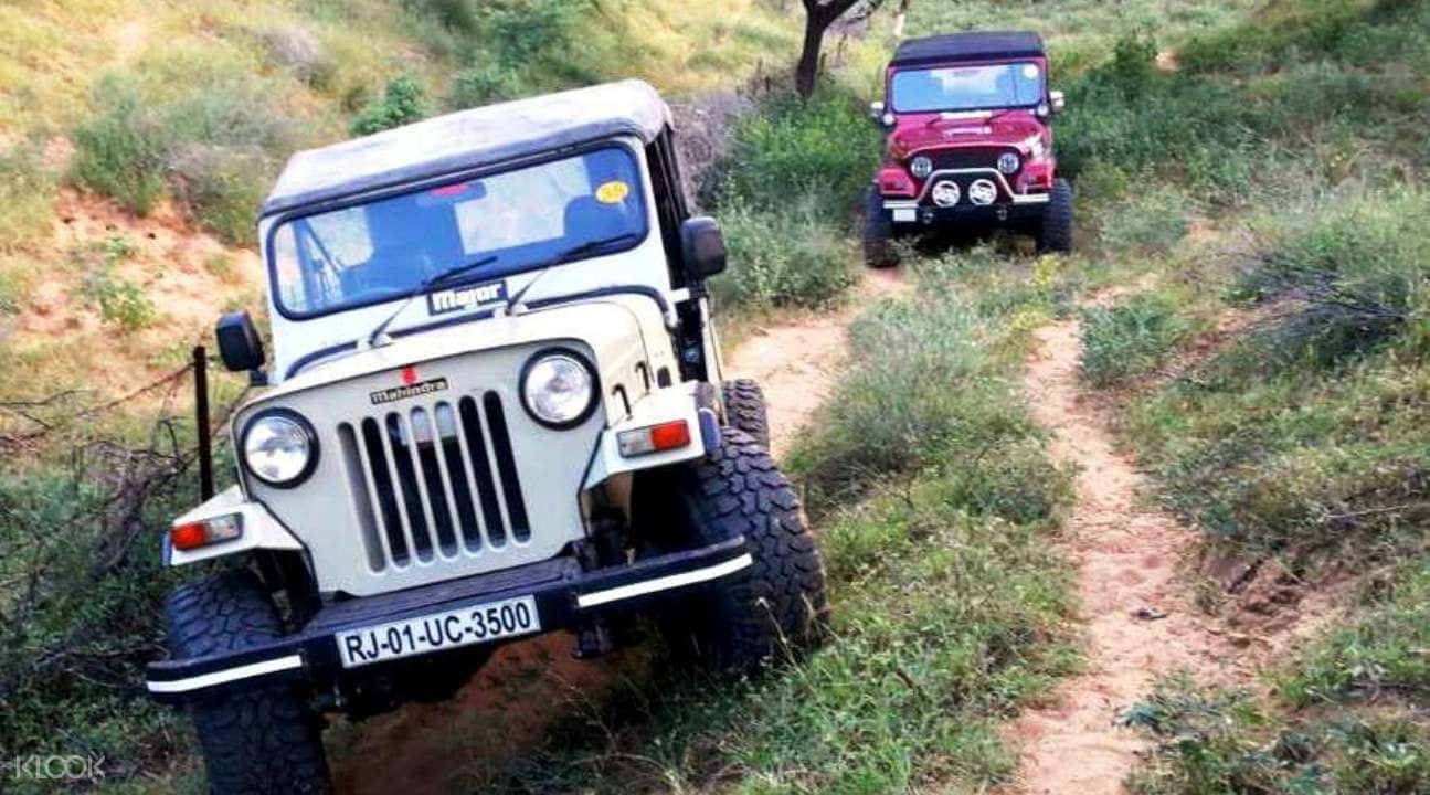 Jeep Safari Experience In Pushkar3