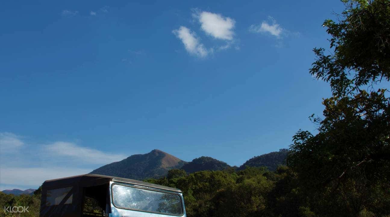 Jeep Safari To Bakkare Elephant Grasslands4