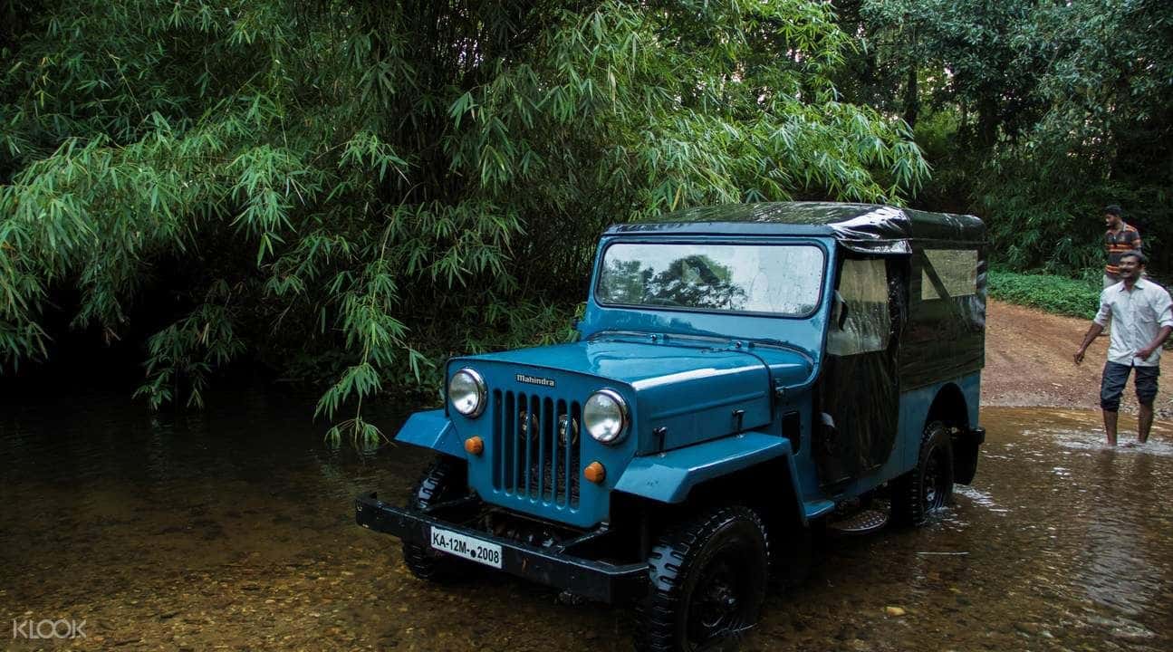 Jeep Safari To Bakkare Elephant Grasslands2