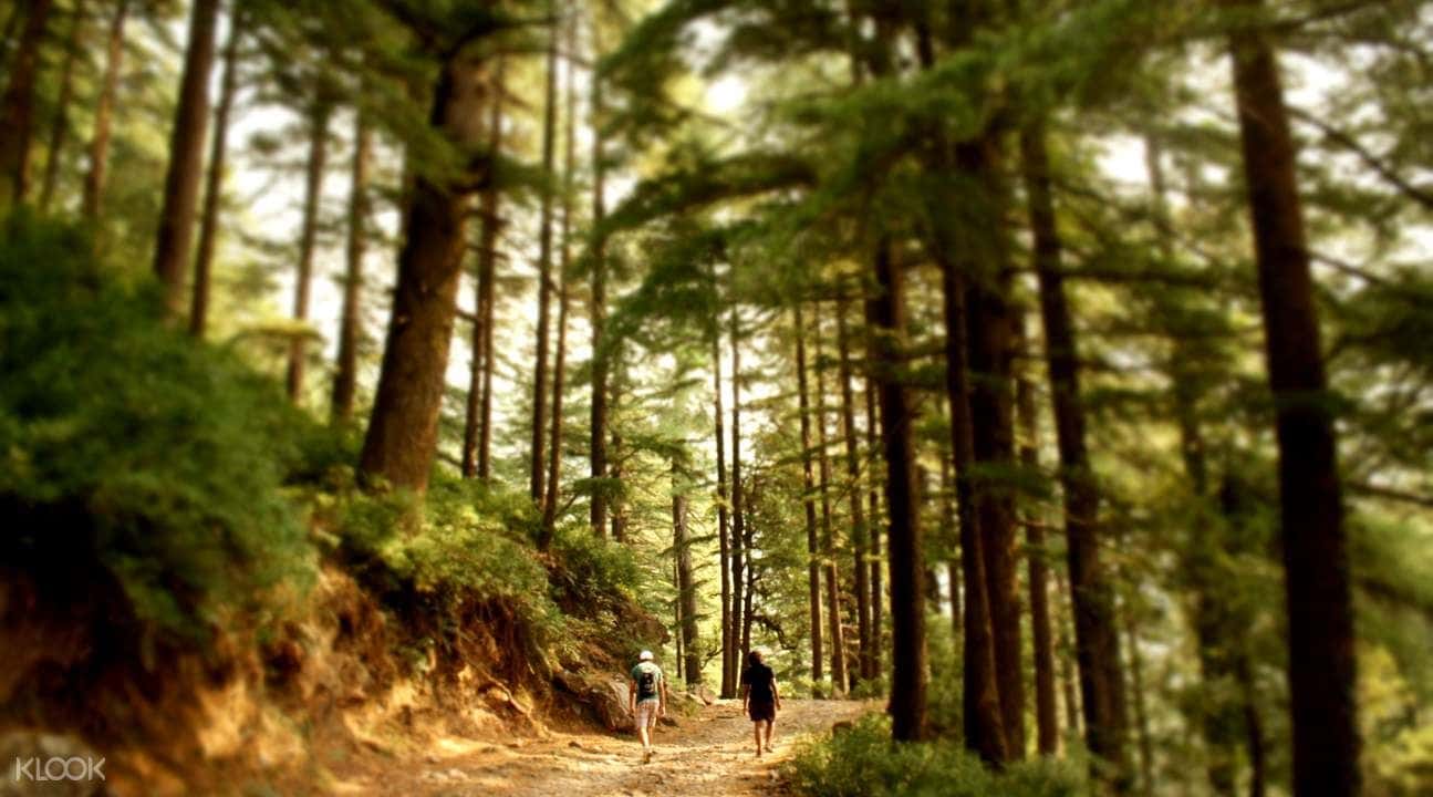 Jogini Waterfall Trek from Manali1